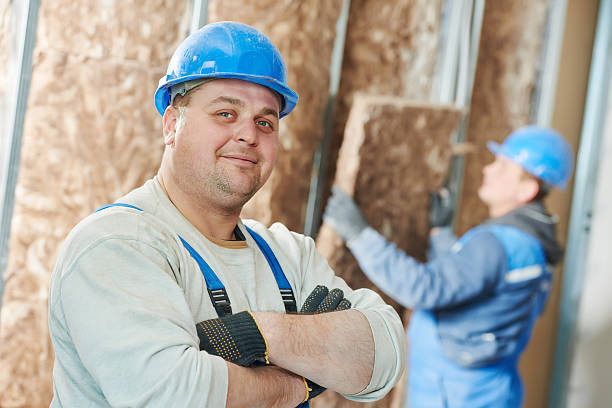 Best Insulation Removal  in Renova, MS