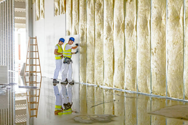 Insulation Contractors for Homes in Renova, MS